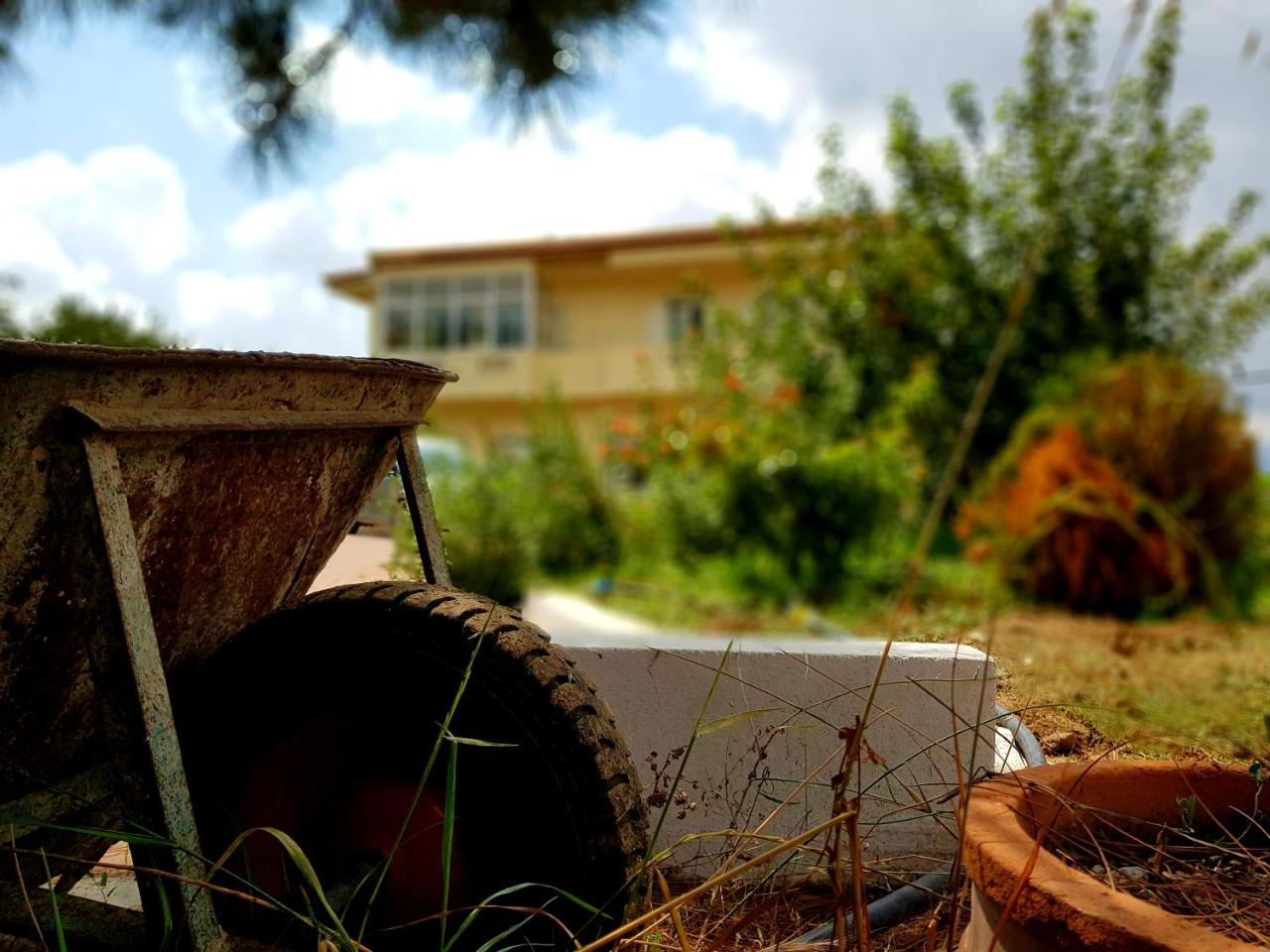 Maison Kronio Lassithi Plateau Marmaketon Zewnętrze zdjęcie